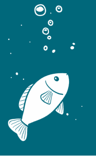 Fish 1